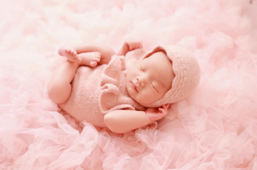 石狮怀孕被误诊成胃炎